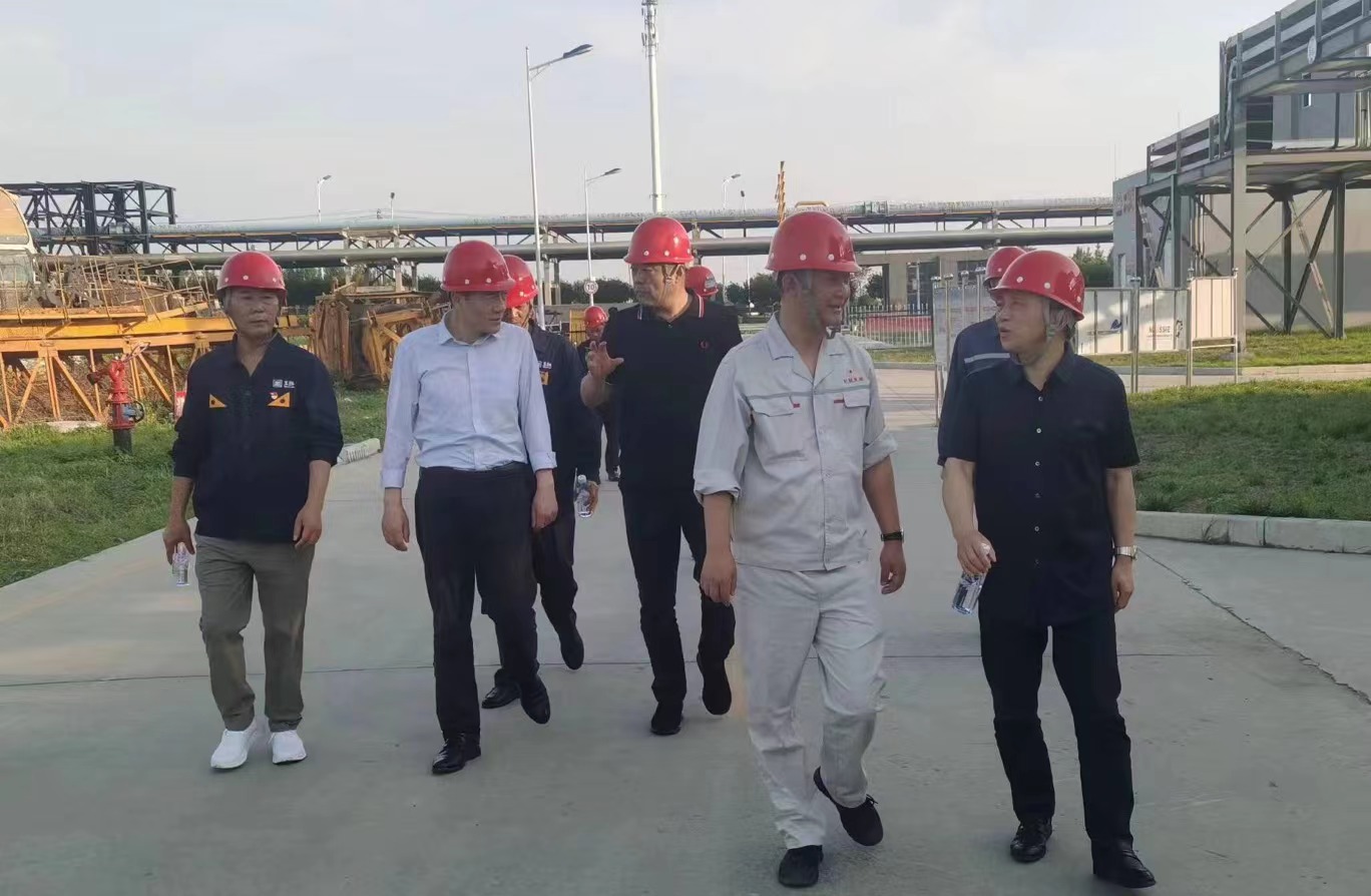 时联铂莱国际官网项目调查.jpg